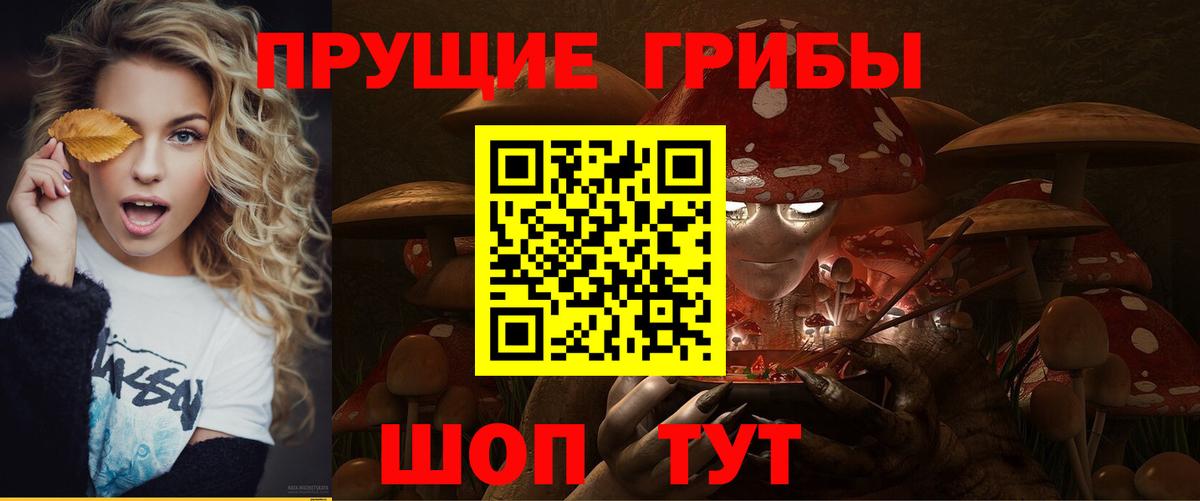 Строитель  Галлюциногенные грибы Psilocybine cubensis  купить закладку  Вход с VPN 